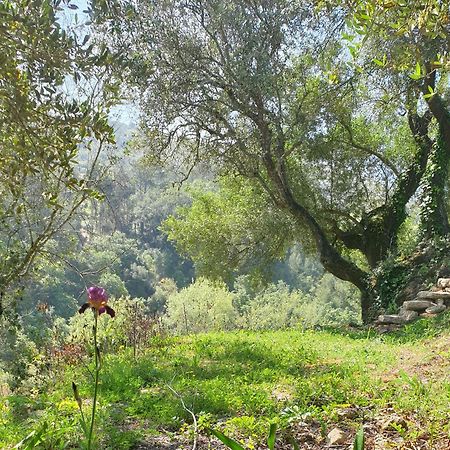 Casa Das Janelinhas - Cottage Near Sintra, Mafra, Ericeira Eksteriør billede