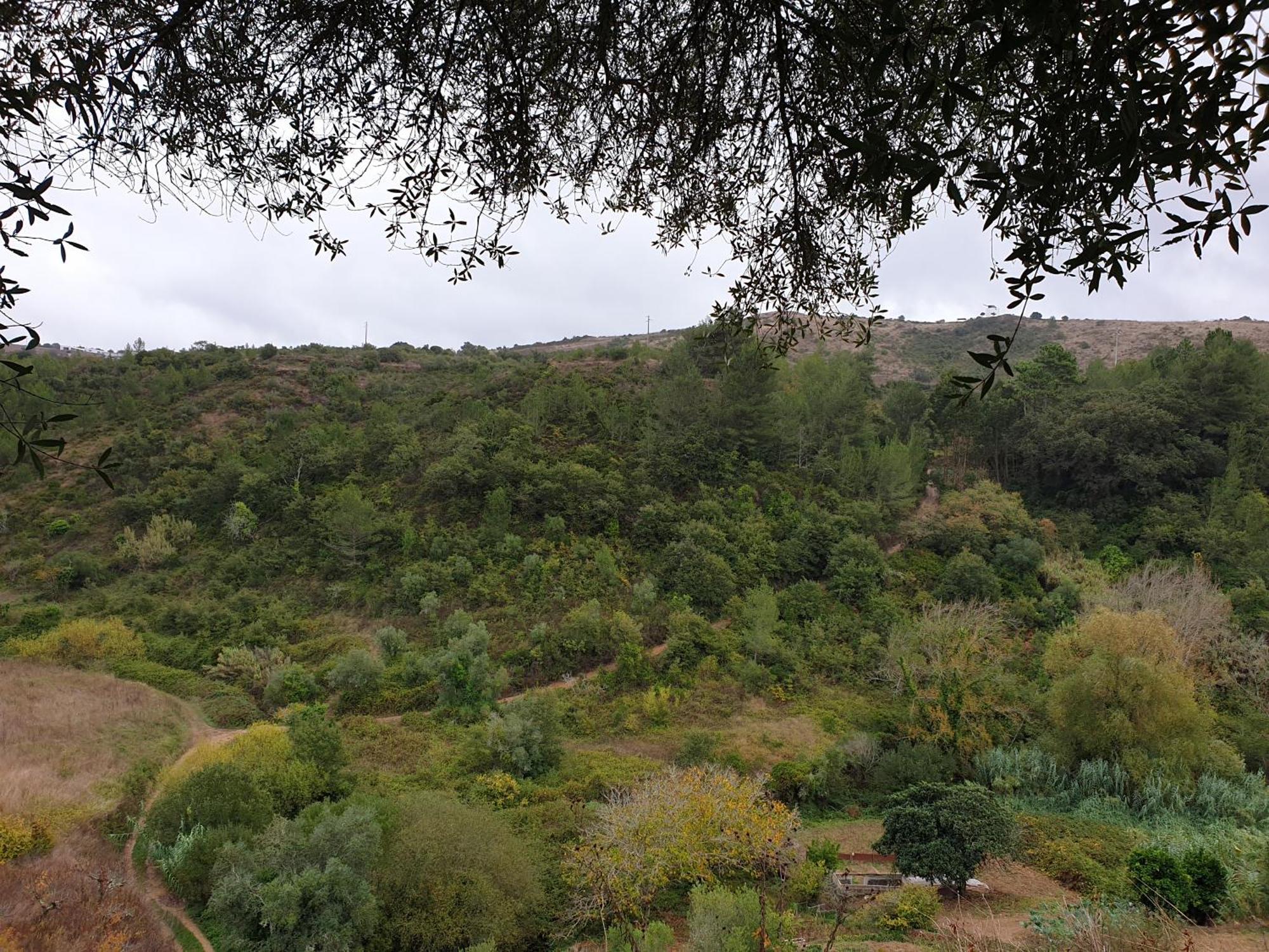 Casa Das Janelinhas - Cottage Near Sintra, Mafra, Ericeira Eksteriør billede